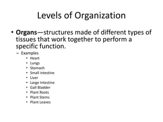 Levels of Organization
• Organs—structures made of different types of
tissues that work together to perform a
specific function.
– Examples
• Heart
• Lungs
• Stomach
• Small intestine
• Liver
• Large Intestine
• Gall Bladder
• Plant Roots
• Plant Stems
• Plant Leaves
 
