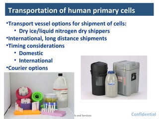 Cell Storage Best Practices: Techniques to Ensure Greater Research ...