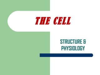 STRUCTURE &
PHYSIOLOGY
THE CELL
 