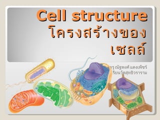 Cell structure โครงสร้างของเซลล์ ครู ณัฐพงศ์ แตงเพ็ชร์ โรงเรียนวัดสุทธิวราราม 
