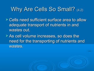 Why Are Cells So Small?Why Are Cells So Small? (4.2)(4.2)
 Cells need sufficient surface area to allowCells need sufficient surface area to allow
adequate transport of nutrients in andadequate transport of nutrients in and
wastes out.wastes out.
 As cell volume increases, so does theAs cell volume increases, so does the
need for the transporting of nutrients andneed for the transporting of nutrients and
wastes.wastes.
 
