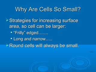 Why Are Cells So Small?Why Are Cells So Small?
 Strategies for increasing surfaceStrategies for increasing surface
area, so cell can be larger:area, so cell can be larger:

““Frilly” edged…….Frilly” edged…….

Long and narrow…..Long and narrow…..
 Round cells will always be small.Round cells will always be small.
 