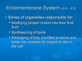 Endomembrane SystemEndomembrane System (4.6 – 4.9)(4.6 – 4.9)
 Series of organelles responsible for:Series of organelles responsible for:

Modifying protein chains into their finalModifying protein chains into their final
formform

Synthesizing of lipidsSynthesizing of lipids

Packaging of fully modified proteins andPackaging of fully modified proteins and
lipids into vesicles for export or use inlipids into vesicles for export or use in
the cellthe cell
 