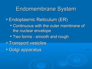 Endomembrane SystemEndomembrane System
 Endoplasmic Reticulum (ER)Endoplasmic Reticulum (ER)

Continuous with the outer membrane ofContinuous with the outer membrane of
the nuclear envelopethe nuclear envelope

Two forms - smooth and roughTwo forms - smooth and rough
 Transport vesiclesTransport vesicles
 Golgi apparatusGolgi apparatus
 