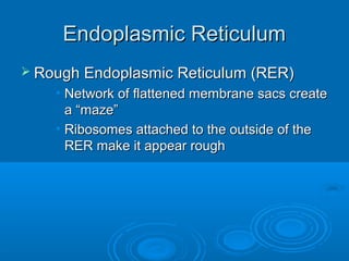 Endoplasmic ReticulumEndoplasmic Reticulum
 Rough Endoplasmic Reticulum (RER)Rough Endoplasmic Reticulum (RER)
• Network of flattened membrane sacs createNetwork of flattened membrane sacs create
a “maze”a “maze”
• Ribosomes attached to the outside of theRibosomes attached to the outside of the
RER make it appear roughRER make it appear rough
 