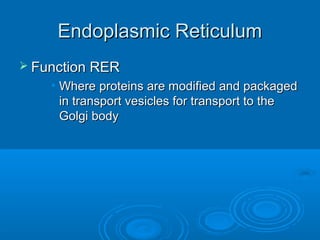 Endoplasmic ReticulumEndoplasmic Reticulum
 Function RERFunction RER
• Where proteins are modified and packagedWhere proteins are modified and packaged
in transport vesicles for transport to thein transport vesicles for transport to the
Golgi bodyGolgi body
 