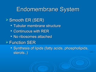 Endomembrane SystemEndomembrane System
 Smooth ER (SER)Smooth ER (SER)

Tubular membrane structureTubular membrane structure

Continuous with RERContinuous with RER

No ribosomes attachedNo ribosomes attached
 Function SERFunction SER

Synthesis of lipids (fatty acids, phospholipids,Synthesis of lipids (fatty acids, phospholipids,
sterols..)sterols..)
 