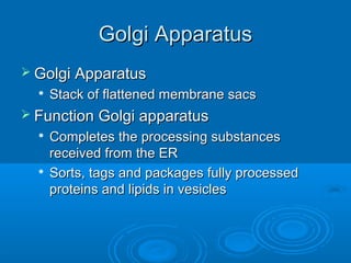 Golgi ApparatusGolgi Apparatus
 Golgi ApparatusGolgi Apparatus

Stack of flattened membrane sacsStack of flattened membrane sacs
 Function Golgi apparatusFunction Golgi apparatus

Completes the processing substancesCompletes the processing substances
received from the ERreceived from the ER

Sorts, tags and packages fully processedSorts, tags and packages fully processed
proteins and lipids in vesiclesproteins and lipids in vesicles
 