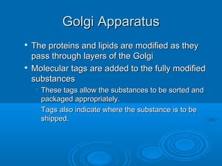 Golgi ApparatusGolgi Apparatus

The proteins and lipids are modified as theyThe proteins and lipids are modified as they
pass through layers of the Golgipass through layers of the Golgi

Molecular tags are added to the fully modifiedMolecular tags are added to the fully modified
substancessubstances
• These tags allow the substances to be sorted andThese tags allow the substances to be sorted and
packaged appropriately.packaged appropriately.
• Tags also indicate where the substance is to beTags also indicate where the substance is to be
shipped.shipped.
 