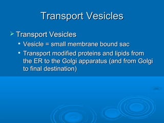 Transport VesiclesTransport Vesicles
 Transport VesiclesTransport Vesicles

Vesicle = small membrane bound sacVesicle = small membrane bound sac

Transport modified proteins and lipids fromTransport modified proteins and lipids from
the ER to the Golgi apparatus (and from Golgithe ER to the Golgi apparatus (and from Golgi
to final destination)to final destination)
 