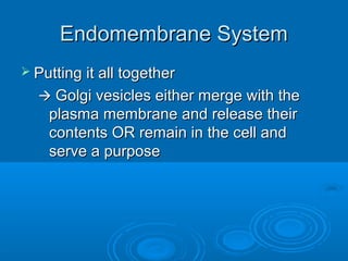 Endomembrane SystemEndomembrane System
 Putting it all togetherPutting it all together
 Golgi vesicles either merge with theGolgi vesicles either merge with the
plasma membrane and release theirplasma membrane and release their
contents OR remain in the cell andcontents OR remain in the cell and
serve a purposeserve a purpose
 