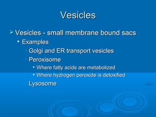 VesiclesVesicles
 Vesicles - small membrane bound sacsVesicles - small membrane bound sacs

ExamplesExamples
• Golgi and ER transport vesiclesGolgi and ER transport vesicles
• PeroxisomePeroxisome

Where fatty acids are metabolizedWhere fatty acids are metabolized

Where hydrogen peroxide is detoxifiedWhere hydrogen peroxide is detoxified
• LysosomeLysosome
 