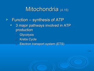 MitochondriaMitochondria (4.15)(4.15)
 Function – synthesis of ATPFunction – synthesis of ATP

3 major pathways involved in ATP3 major pathways involved in ATP
productionproduction
1.1. GlycolysisGlycolysis
2.2. Krebs CycleKrebs Cycle
3.3. Electron transport system (ETS)Electron transport system (ETS)
 