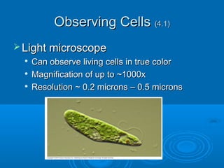 Observing CellsObserving Cells (4.1)(4.1)
 Light microscopeLight microscope

Can observe living cells in true colorCan observe living cells in true color

Magnification of up to ~1000xMagnification of up to ~1000x

Resolution ~ 0.2 microns – 0.5 micronsResolution ~ 0.2 microns – 0.5 microns
 
