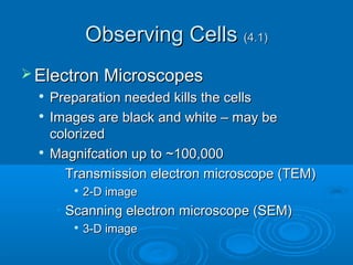Observing CellsObserving Cells (4.1)(4.1)
 Electron MicroscopesElectron Microscopes

Preparation needed kills the cellsPreparation needed kills the cells

Images are black and white – may beImages are black and white – may be
colorizedcolorized

Magnifcation up to ~100,000Magnifcation up to ~100,000
• Transmission electron microscope (TEM)Transmission electron microscope (TEM)

2-D image2-D image
• Scanning electron microscope (SEM)Scanning electron microscope (SEM)

3-D image3-D image
 