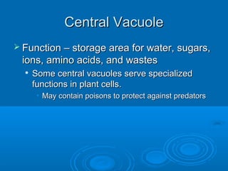 Central VacuoleCentral Vacuole
 Function – storage area for water, sugars,Function – storage area for water, sugars,
ions, amino acids, and wastesions, amino acids, and wastes

Some central vacuoles serve specializedSome central vacuoles serve specialized
functions in plant cells.functions in plant cells.
• May contain poisons to protect against predatorsMay contain poisons to protect against predators
 