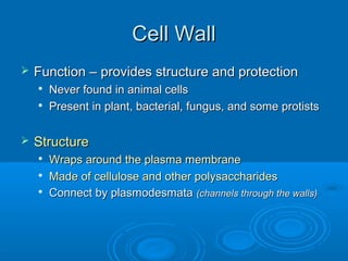 Cell WallCell Wall
 Function – provides structure and protectionFunction – provides structure and protection

Never found in animal cellsNever found in animal cells

Present in plant, bacterial, fungus, and some protistsPresent in plant, bacterial, fungus, and some protists
 StructureStructure

Wraps around the plasma membraneWraps around the plasma membrane

Made of cellulose and other polysaccharidesMade of cellulose and other polysaccharides

Connect by plasmodesmataConnect by plasmodesmata (channels through the walls)(channels through the walls)
 