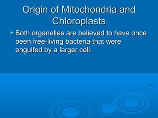 Origin of Mitochondria andOrigin of Mitochondria and
ChloroplastsChloroplasts
 Both organelles are believed to have onceBoth organelles are believed to have once
been free-living bacteria that werebeen free-living bacteria that were
engulfed by a larger cell.engulfed by a larger cell.
 