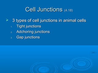 Cell JunctionsCell Junctions (4.18)(4.18)
 3 types of cell junctions in animal cells3 types of cell junctions in animal cells
1.1. Tight junctionsTight junctions
2.2. Adchoring junctionsAdchoring junctions
3.3. Gap junctionsGap junctions
 