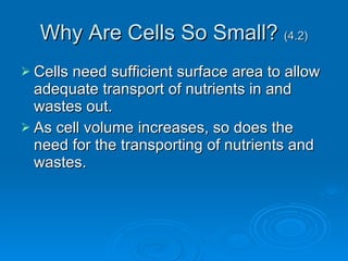 Why Are Cells So Small?  (4.2) Cells need sufficient surface area to allow adequate transport of nutrients in and wastes out. As cell volume increases, so does the need for the transporting of nutrients and wastes. 