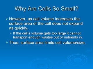 Why Are Cells So Small? However, as cell volume increases the surface area of the cell does not expand as quickly. If the cell’s volume gets too large it cannot transport enough wastes out or nutrients in.  Thus, surface area limits cell volume/size. 