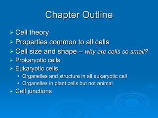 Chapter Outline Cell theory Properties common to all cells Cell size and shape –  why are cells so small? Prokaryotic cells Eukaryotic cells Organelles and structure in all eukaryotic cell Organelles in plant cells but not animal Cell junctions 