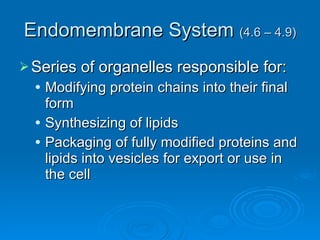 Endomembrane System  (4.6 – 4.9) Series of organelles responsible for: Modifying protein chains into their final form Synthesizing of lipids Packaging of fully modified proteins and lipids into vesicles for export or use in the cell 