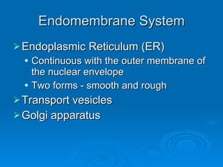 Endomembrane System Endoplasmic Reticulum (ER) Continuous with the outer membrane of the nuclear envelope  Two forms - smooth and rough Transport vesicles Golgi apparatus 