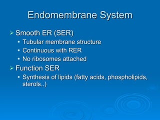 Endomembrane System Smooth ER (SER) Tubular membrane structure Continuous with RER No ribosomes attached Function SER Synthesis of lipids (fatty acids, phospholipids, sterols..) 