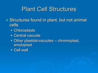 Plant Cell Structures Structures found in plant, but not animal cells Chloroplasts Central vacuole Other plastids/vacuoles – chromoplast, amyloplast Cell wall 