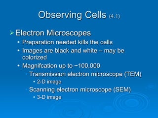 Observing Cells  (4.1) Electron Microscopes Preparation needed kills the cells Images are black and white – may be colorized Magnifcation up to ~100,000 Transmission electron microscope (TEM) 2-D image Scanning electron microscope (SEM) 3-D image 