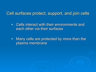 Cell surfaces protect, support, and join cells Cells interact with their environments and each other via their surfaces Many cells are protected by more than the plasma membrane 