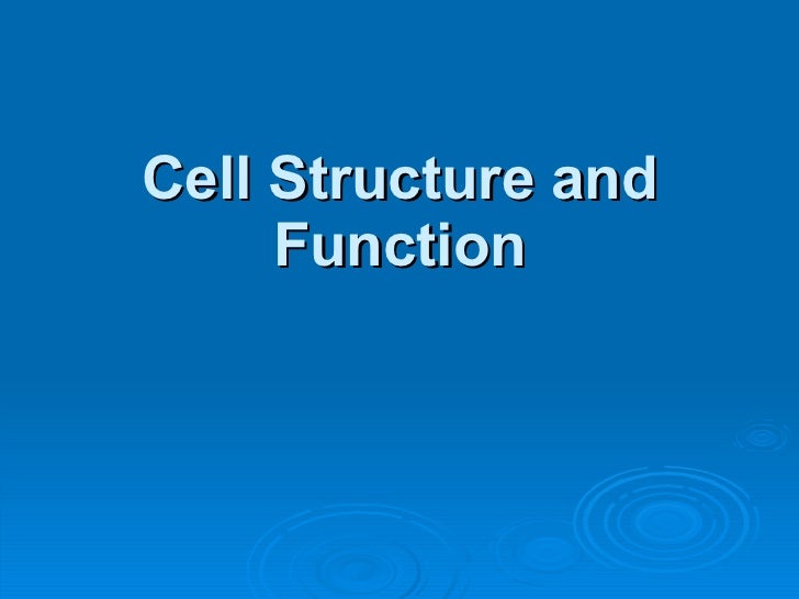 PPT – Prokaryotic and Eukaryotic Cells PowerPoint presentation | free to view - id: d3b-NzgzM powerpoint presentation on cell structure and function