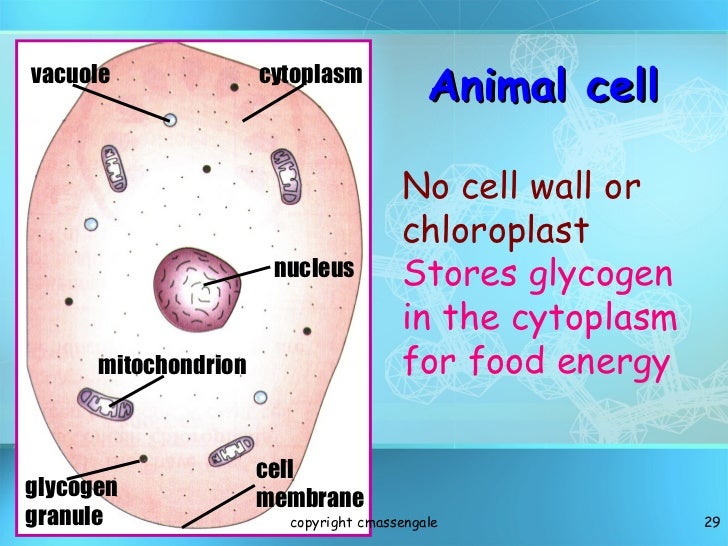 Cell structure