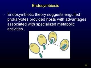 Endosymbiosis
•

Endosymbiotic theory suggests engulfed
prokaryotes provided hosts with advantages
associated with specialized metabolic
activities.

26

 