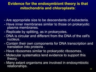 Evidence for the endosymbiont theory is that
mitochondria and chloroplasts:
- Are appropriate size to be descendants of eubacteria.
- Have inner membranes similar to those on prokaryotic
plasma membranes.
- Replicate by splitting, as in prokaryotes.
- DNA is circular and different from the DNA of the cell's
nucleus.
- Contain their own components for DNA transcription and
translation into proteins .
- Have ribosomes similar to prokaryotic ribosomes.
- Molecular systematics lend evidence to support this
theory.
- Many extant organisms are involved in endosymbiotic
relationships.
28

 