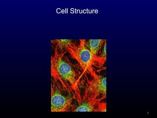 Cell Structure

1

 