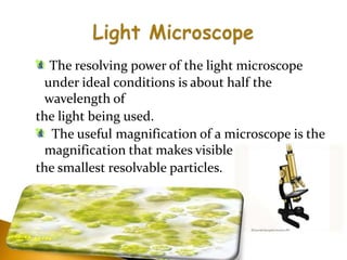 Microscope | PPTX