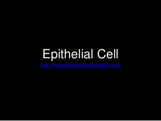 Epithelial Cell
http://myrevisionnotes.blogspot.com
 