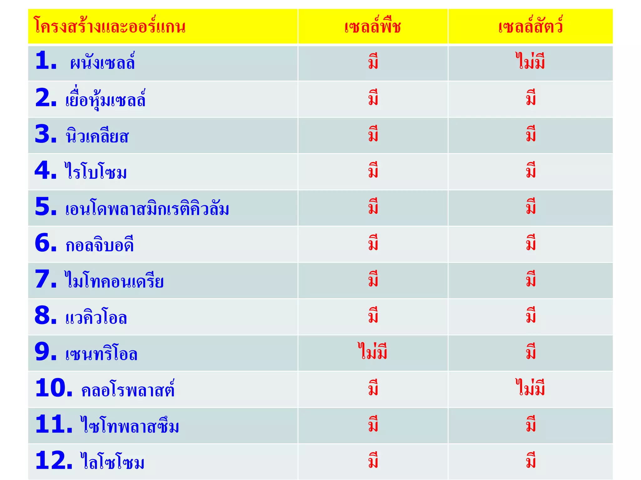 โครงสร้างและออร์แกน เซลล์พืช เซลล์สัตว์
1. ผนังเซลล์ มี ไม่มี
2. เยื่อหุ้มเซลล์ มี มี
3. นิวเคลียส มี มี
4. ไรโบโซม มี มี
5. เอนโดพลาสมิกเรติคิวลัม มี มี
6. กอลจิบอดี มี มี
7. ไมโทคอนเดรีย มี มี
8. แวคิวโอล มี มี
9. เซนทริโอล ไม่มี มี
10. คลอโรพลาสต์ มี ไม่มี
11. ไซโทพลาสซึม มี มี
12. ไลโซโซม มี มี
 