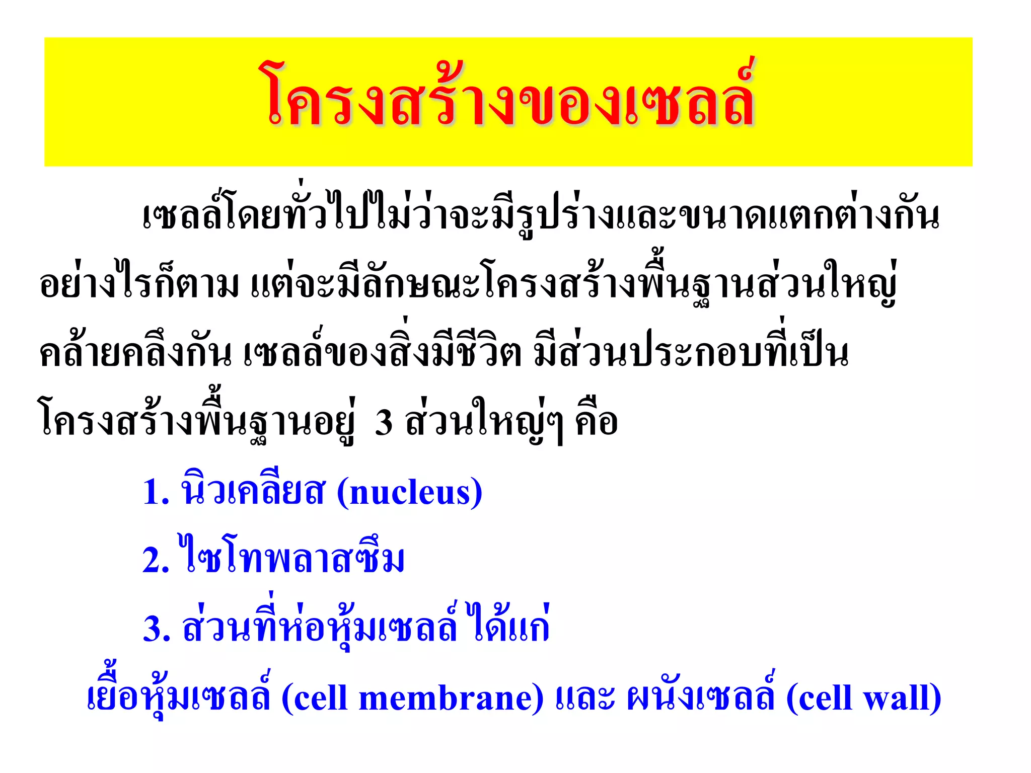 โครงสร้างของเซลล์
เซลล์โดยทั่วไปไม่ว่าจะมีรูปร่างและขนาดแตกต่างกัน
อย่างไรก็ตาม แต่จะมีลักษณะโครงสร้างพื้นฐานส่วนใหญ่
คล้ายคลึงกัน เซลล์ของสิ่งมีชีวิต มีส่วนประกอบที่เป็น
โครงสร้างพื้นฐานอยู่ 3 ส่วนใหญ่ๆ คือ
1. นิวเคลียส (nucleus)
2. ไซโทพลาสซึม
3. ส่วนที่ห่อหุ้มเซลล์ ได้แก่
เยื้อหุ้มเซลล์ (cell membrane) และ ผนังเซลล์ (cell wall)
 