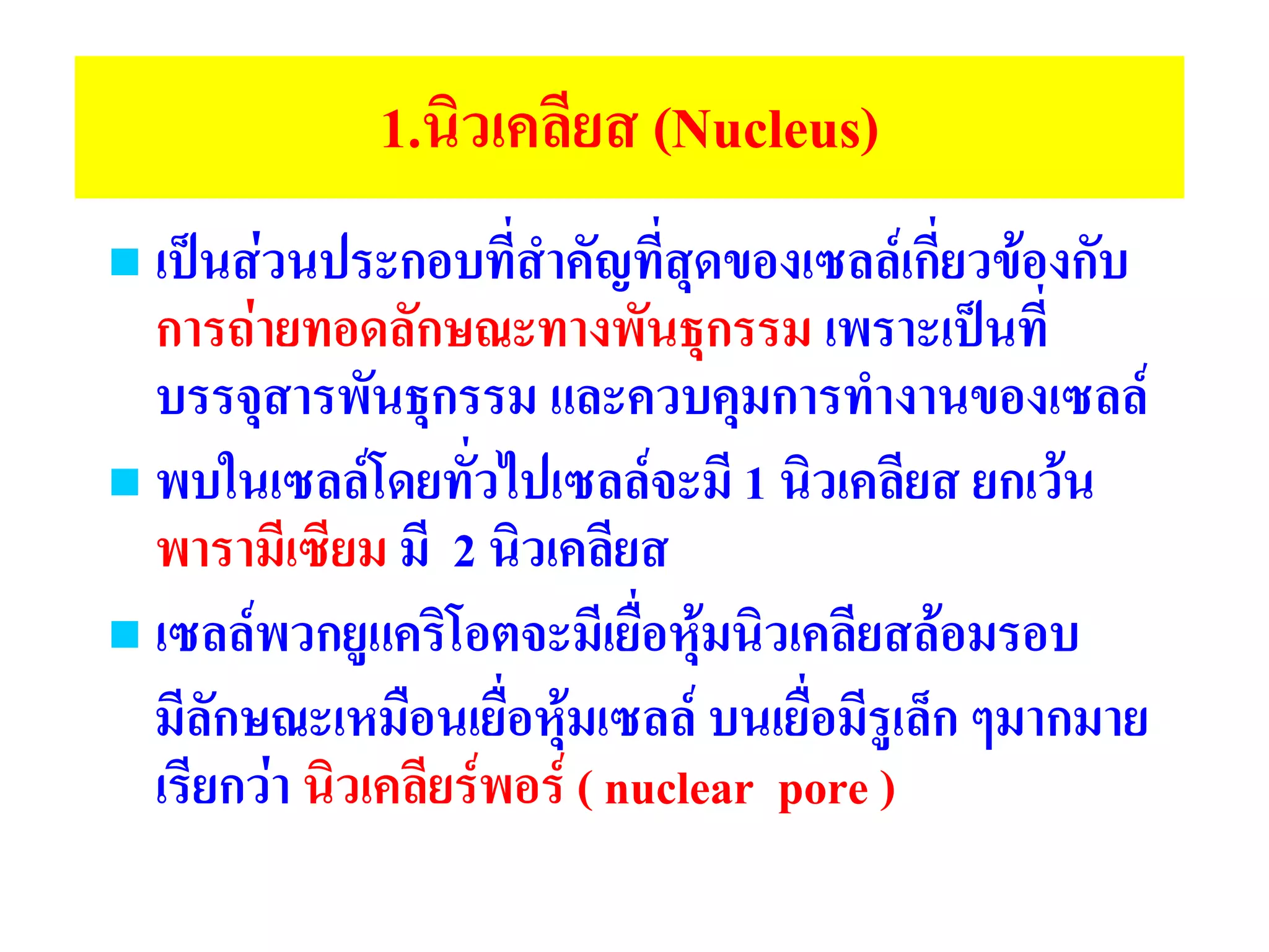 1.นิวเคลียส (Nucleus)
 เป็นส่วนประกอบที่สาคัญที่สุดของเซลล์เกี่ยวข้องกับ
การถ่ายทอดลักษณะทางพันธุกรรม เพราะเป็นที่
บรรจุสารพันธุกรรม และควบคุมการทางานของเซลล์
 พบในเซลล์โดยทั่วไปเซลล์จะมี 1 นิวเคลียส ยกเว้น
พารามีเซียม มี 2 นิวเคลียส
 เซลล์พวกยูแคริโอตจะมีเยื่อหุ้มนิวเคลียสล้อมรอบ
มีลักษณะเหมือนเยื่อหุ้มเซลล์ บนเยื่อมีรูเล็ก ๆมากมาย
เรียกว่า นิวเคลียร์พอร์ ( nuclear pore )
 