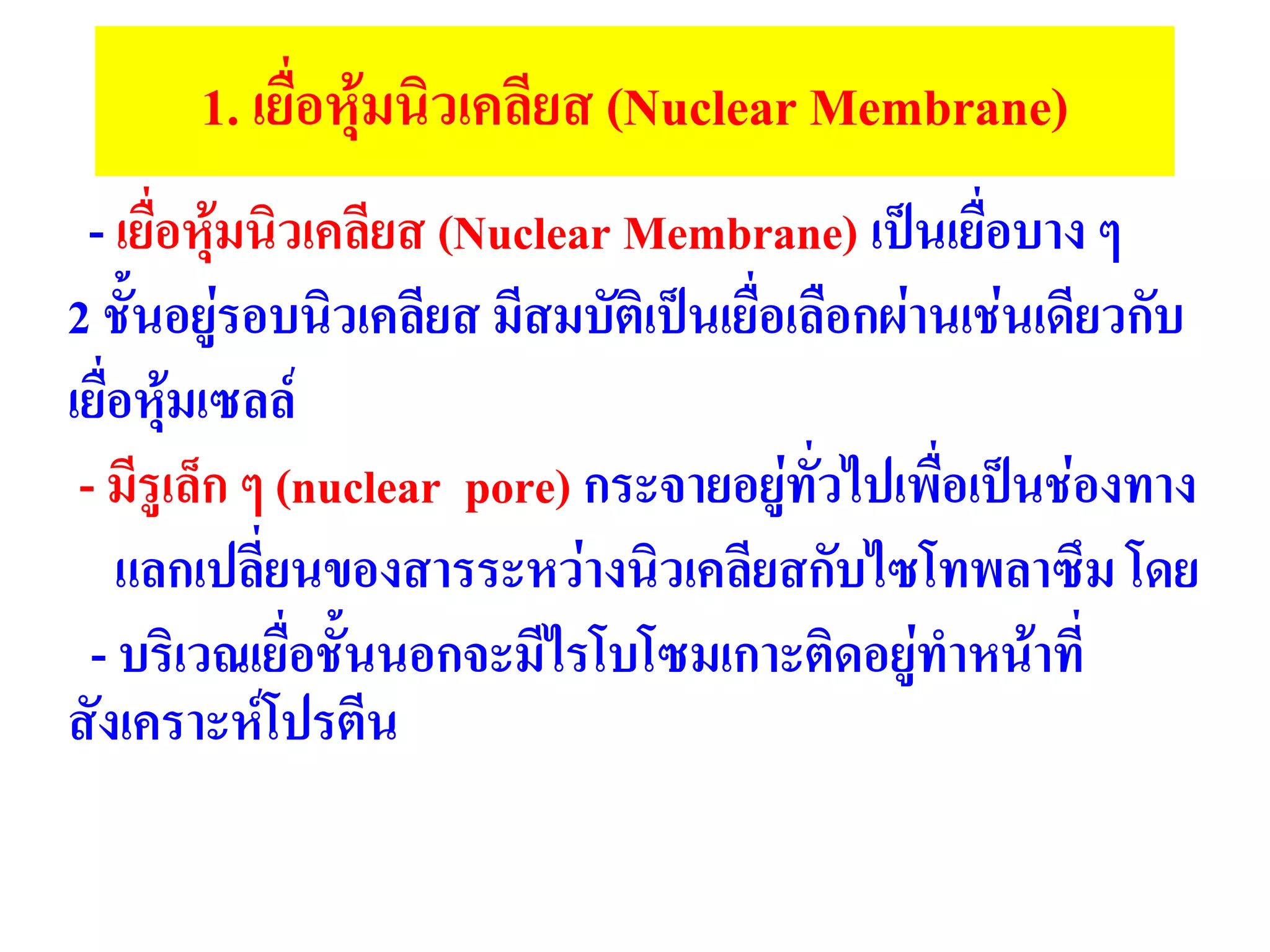 1. เยื่อหุ้มนิวเคลียส (Nuclear Membrane)
- เยื่อหุ้มนิวเคลียส (Nuclear Membrane) เป็นเยื่อบาง ๆ
2 ชั้นอยู่รอบนิวเคลียส มีสมบัติเป็นเยื่อเลือกผ่านเช่นเดียวกับ
เยื่อหุ้มเซลล์
- มีรูเล็ก ๆ (nuclear pore) กระจายอยู่ทั่วไปเพื่อเป็นช่องทาง
แลกเปลี่ยนของสารระหว่างนิวเคลียสกับไซโทพลาซึม โดย
- บริเวณเยื่อชั้นนอกจะมีไรโบโซมเกาะติดอยู่ทาหน้าที่
สังเคราะห์โปรตีน
 