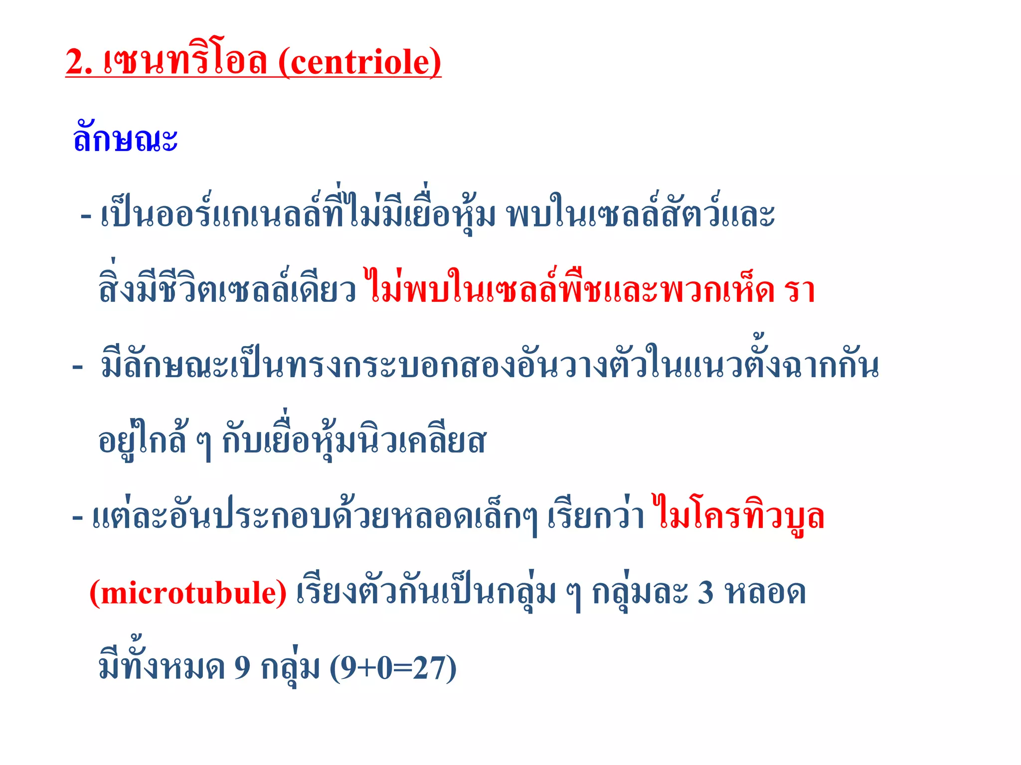 2. เซนทริโอล (centriole)
ลักษณะ
- เป็นออร์แกเนลล์ที่ไม่มีเยื่อหุ้ม พบในเซลล์สัตว์และ
สิ่งมีชีวิตเซลล์เดียว ไม่พบในเซลล์พืชและพวกเห็ด รา
- มีลักษณะเป็นทรงกระบอกสองอันวางตัวในแนวตั้งฉากกัน
อยู่ใกล้ ๆ กับเยื่อหุ้มนิวเคลียส
- แต่ละอันประกอบด้วยหลอดเล็กๆ เรียกว่า ไมโครทิวบูล
(microtubule) เรียงตัวกันเป็นกลุ่ม ๆ กลุ่มละ 3 หลอด
มีทั้งหมด 9 กลุ่ม (9+0=27)
 