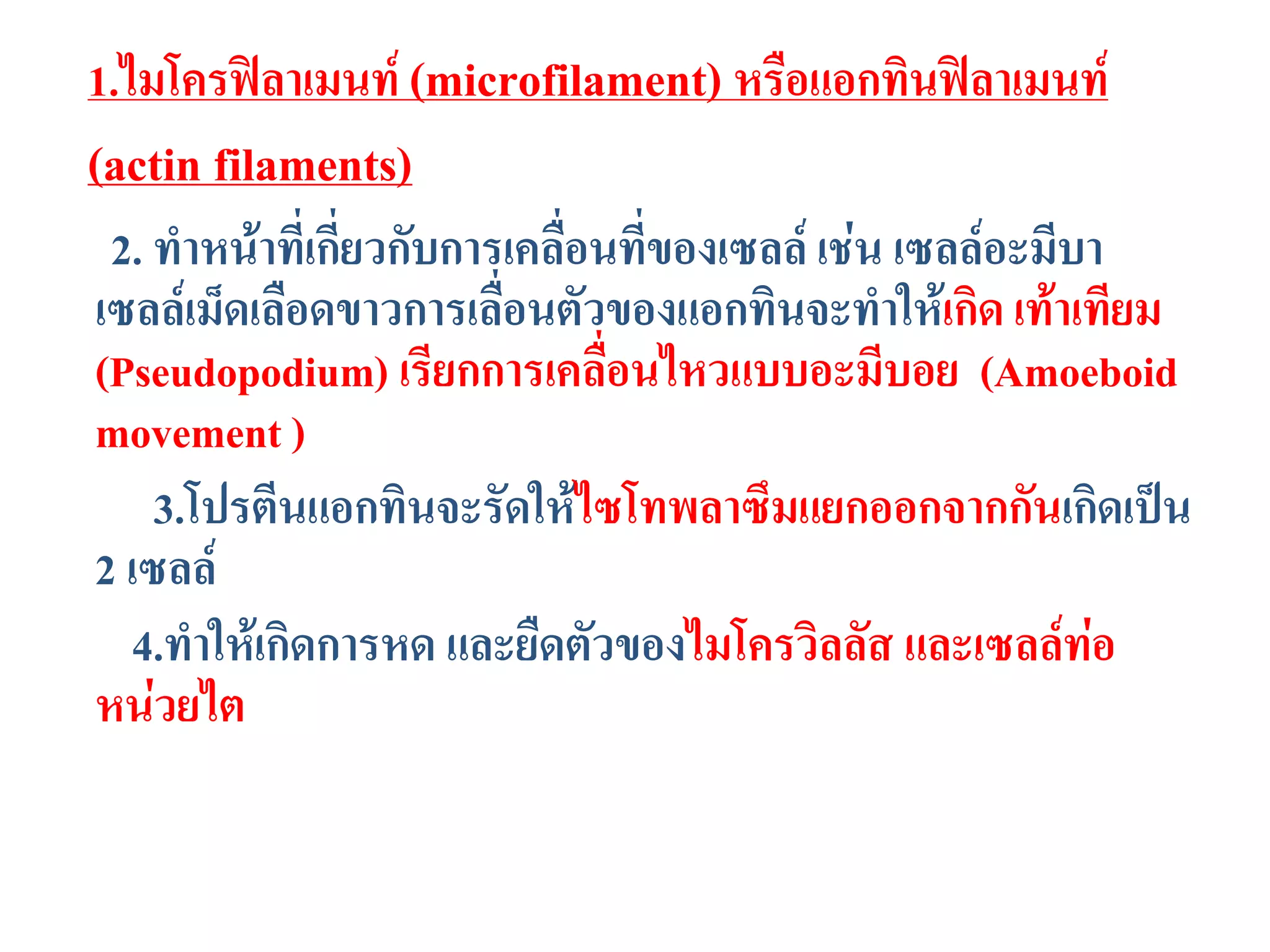 1.ไมโครฟิลาเมนท์ (microfilament) หรือแอกทินฟิลาเมนท์
(actin filaments)
2. ทาหน้าที่เกี่ยวกับการเคลื่อนที่ของเซลล์ เช่น เซลล์อะมีบา
เซลล์เม็ดเลือดขาวการเลื่อนตัวของแอกทินจะทาให้เกิด เท้าเทียม
(Pseudopodium) เรียกการเคลื่อนไหวแบบอะมีบอย (Amoeboid
movement )
3.โปรตีนแอกทินจะรัดให้ไซโทพลาซึมแยกออกจากกันเกิดเป็น
2 เซลล์
4.ทาให้เกิดการหด และยืดตัวของไมโครวิลลัส และเซลล์ท่อ
หน่วยไต
 