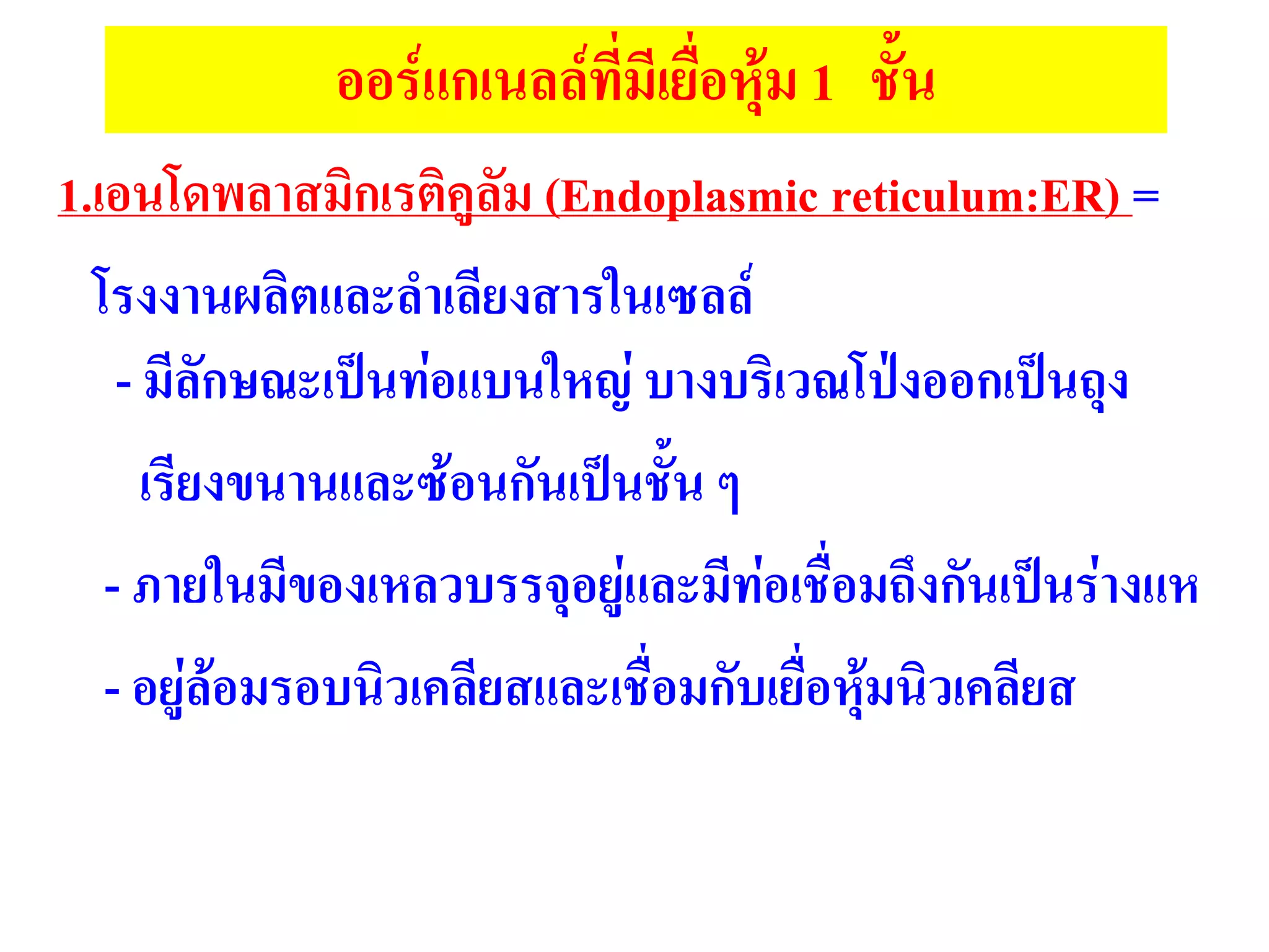 1.เอนโดพลาสมิกเรติคูลัม (Endoplasmic reticulum:ER) =
โรงงานผลิตและลาเลียงสารในเซลล์
- มีลักษณะเป็นท่อแบนใหญ่ บางบริเวณโป่งออกเป็นถุง
เรียงขนานและซ้อนกันเป็นชั้น ๆ
- ภายในมีของเหลวบรรจุอยู่และมีท่อเชื่อมถึงกันเป็นร่างแห
- อยู่ล้อมรอบนิวเคลียสและเชื่อมกับเยื่อหุ้มนิวเคลียส
ออร์แกเนลล์ที่มีเยื่อหุ้ม 1 ชั้น
 