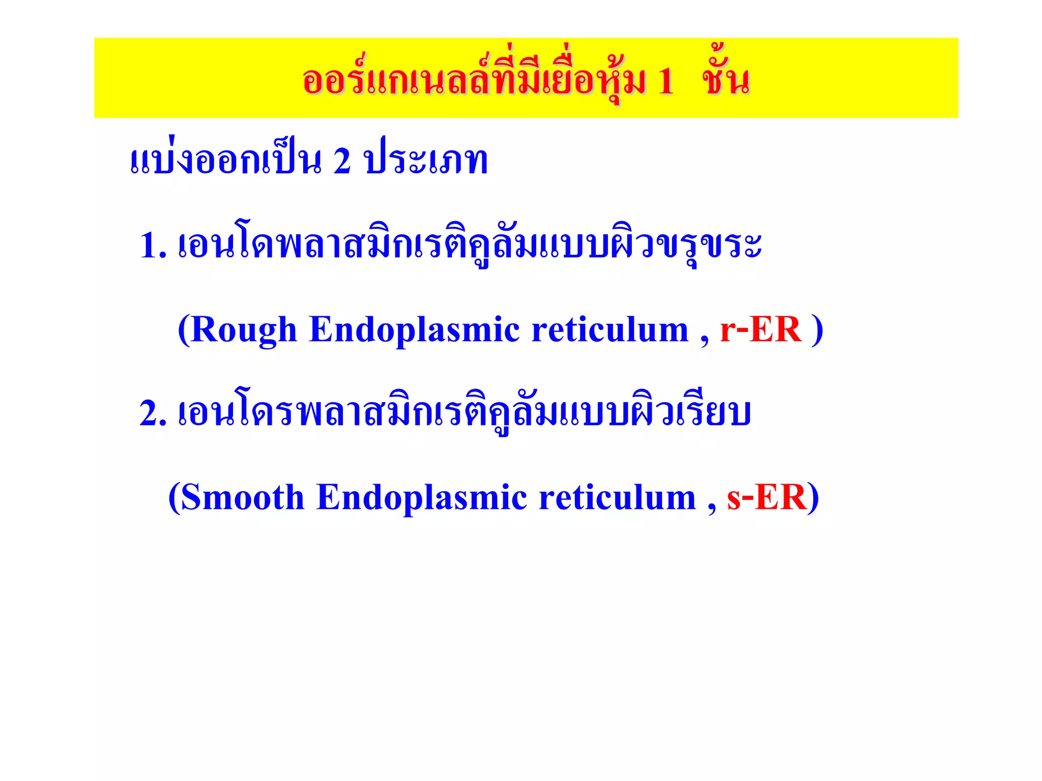 แบ่งออกเป็น 2 ประเภท
1. เอนโดพลาสมิกเรติคูลัมแบบผิวขรุขระ
(Rough Endoplasmic reticulum , r-ER )
2. เอนโดรพลาสมิกเรติคูลัมแบบผิวเรียบ
(Smooth Endoplasmic reticulum , s-ER)
ออร์แกเนลล์ที่มีเยื่อหุ้ม 1 ชั้น
 