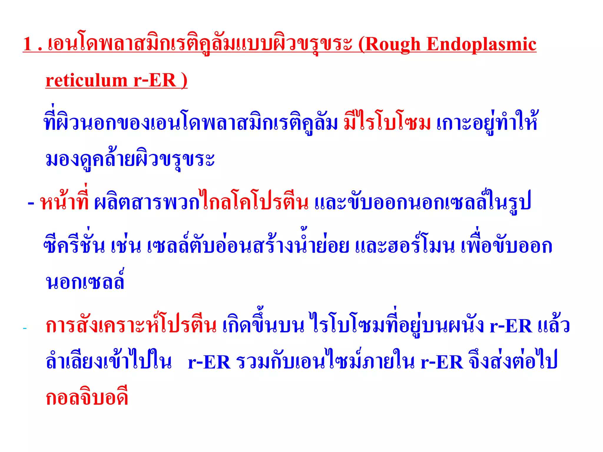 1 . เอนโดพลาสมิกเรติคูลัมแบบผิวขรุขระ (Rough Endoplasmic
reticulum r-ER )
ที่ผิวนอกของเอนโดพลาสมิกเรติคูลัม มีไรโบโซม เกาะอยู่ทาให้
มองดูคล้ายผิวขรุขระ
- หน้าที่ ผลิตสารพวกไกลโคโปรตีน และขับออกนอกเซลล์ในรูป
ซีครีชั่น เช่น เซลล์ตับอ่อนสร้างน้าย่อย และฮอร์โมน เพื่อขับออก
นอกเซลล์
- การสังเคราะห์โปรตีน เกิดขึ้นบน ไรโบโซมที่อยู่บนผนัง r-ER แล้ว
ลาเลียงเข้าไปใน r-ER รวมกับเอนไซม์ภายใน r-ER จึงส่งต่อไป
กอลจิบอดี
 
