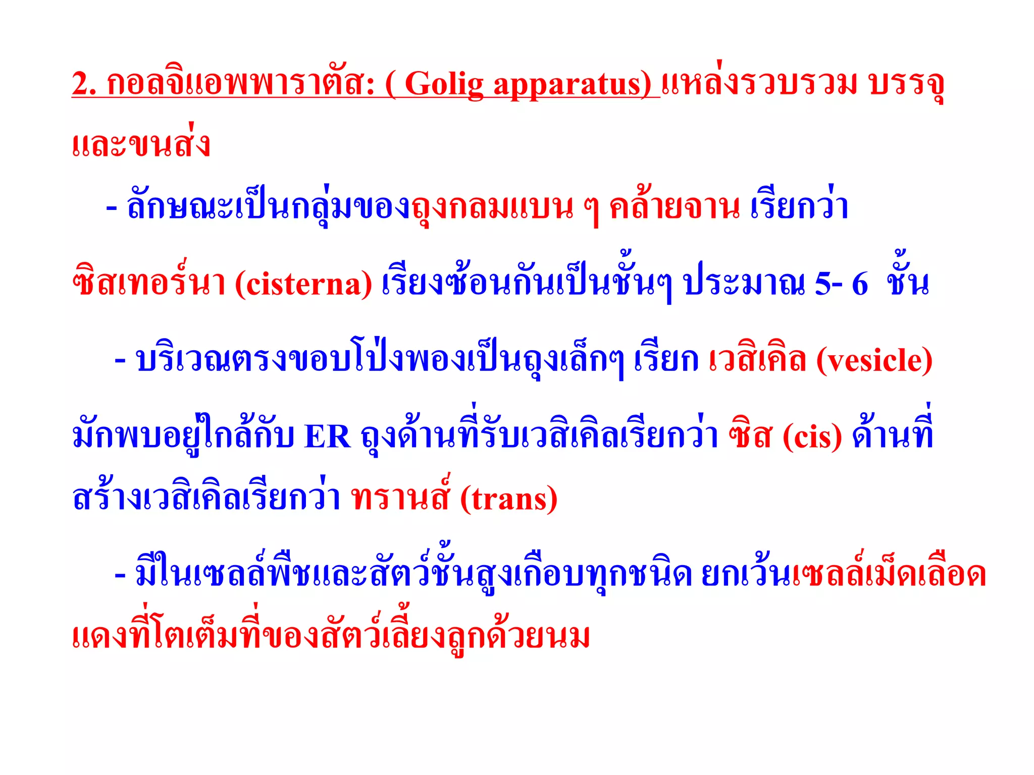 2. กอลจิแอพพาราตัส: ( Golig apparatus) แหล่งรวบรวม บรรจุ
และขนส่ง
- ลักษณะเป็นกลุ่มของถุงกลมแบน ๆ คล้ายจาน เรียกว่า
ซิสเทอร์นา (cisterna) เรียงซ้อนกันเป็นชั้นๆ ประมาณ 5- 6 ชั้น
- บริเวณตรงขอบโป่งพองเป็นถุงเล็กๆ เรียก เวสิเคิล (vesicle)
มักพบอยู่ใกล้กับ ER ถุงด้านที่รับเวสิเคิลเรียกว่า ซิส (cis) ด้านที่
สร้างเวสิเคิลเรียกว่า ทรานส์ (trans)
- มีในเซลล์พืชและสัตว์ชั้นสูงเกือบทุกชนิด ยกเว้นเซลล์เม็ดเลือด
แดงที่โตเต็มที่ของสัตว์เลี้ยงลูกด้วยนม
 