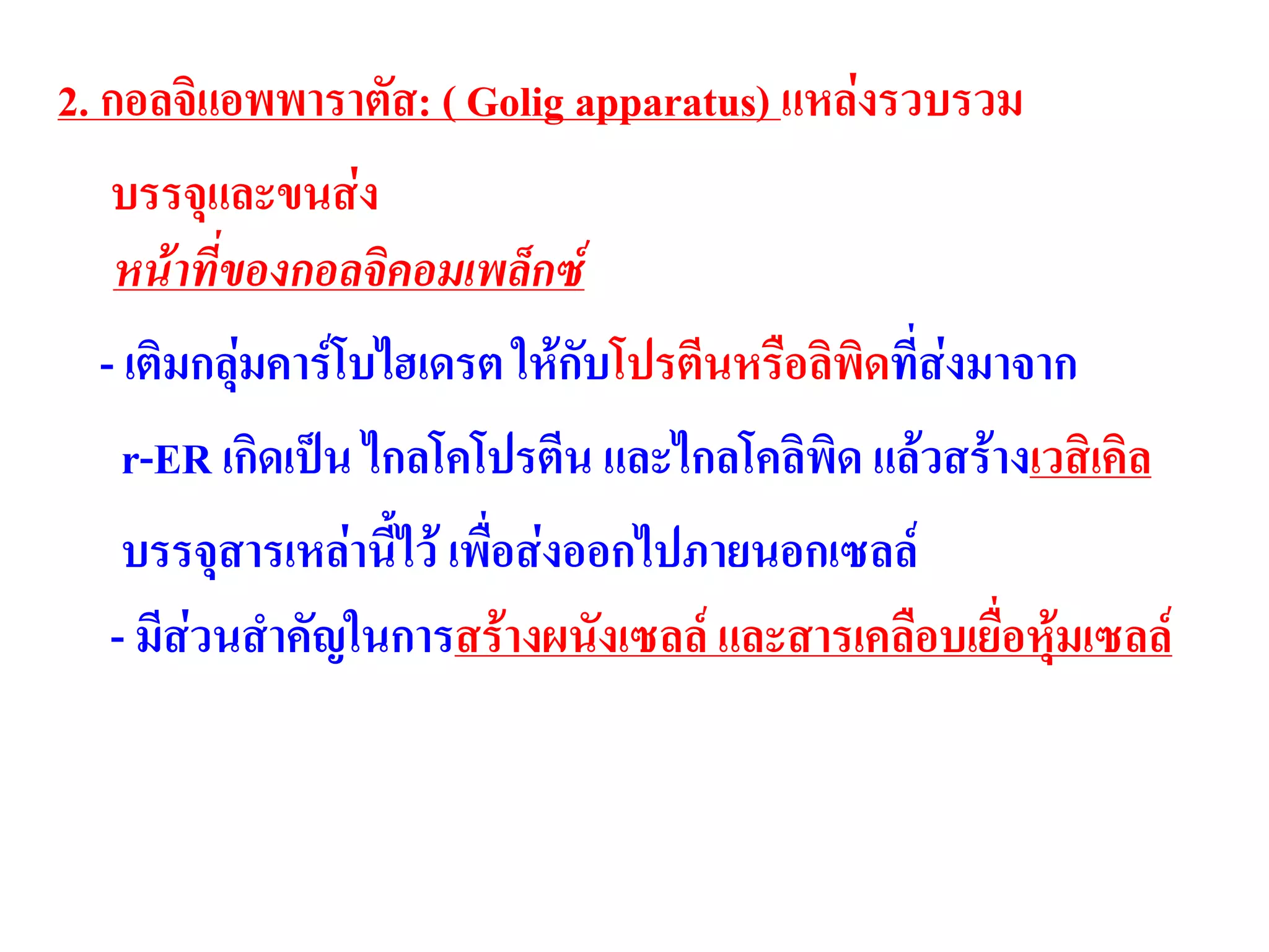 2. กอลจิแอพพาราตัส: ( Golig apparatus) แหล่งรวบรวม
บรรจุและขนส่ง
หน้าที่ของกอลจิคอมเพล็กซ์
- เติมกลุ่มคาร์โบไฮเดรต ให้กับโปรตีนหรือลิพิดที่ส่งมาจาก
r-ER เกิดเป็น ไกลโคโปรตีน และไกลโคลิพิด แล้วสร้างเวสิเคิล
บรรจุสารเหล่านี้ไว้ เพื่อส่งออกไปภายนอกเซลล์
- มีส่วนสาคัญในการสร้างผนังเซลล์ และสารเคลือบเยื่อหุ้มเซลล์
 